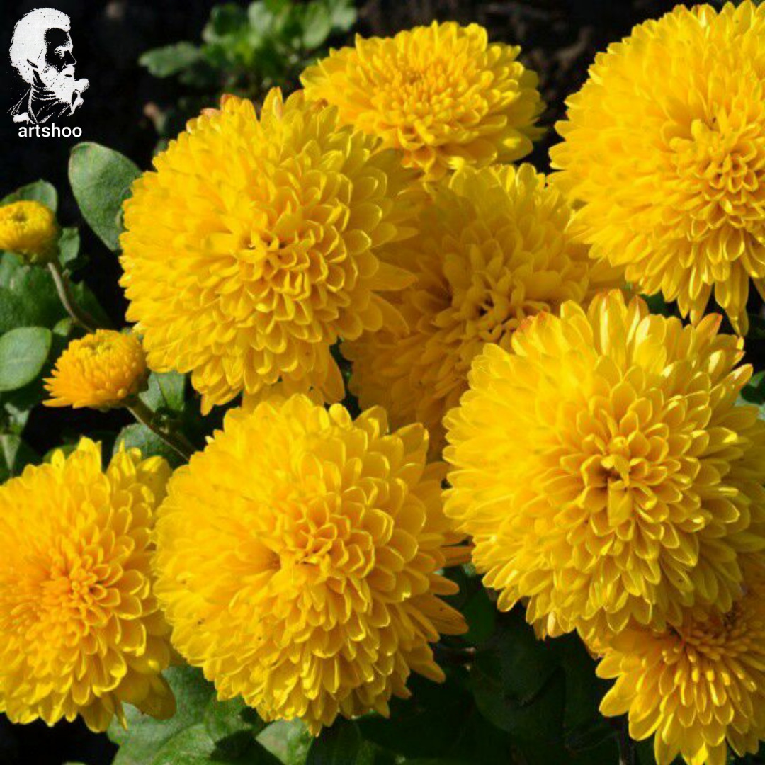 گل اورژینال رنگ روغن